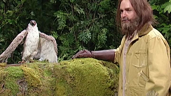 ⁣saturday night live 30x17 tom brady