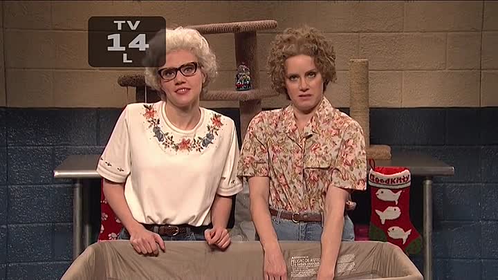 ⁣Saturday Night Live S40E10 Amy Adams-One Direction HDTV x264-BATV