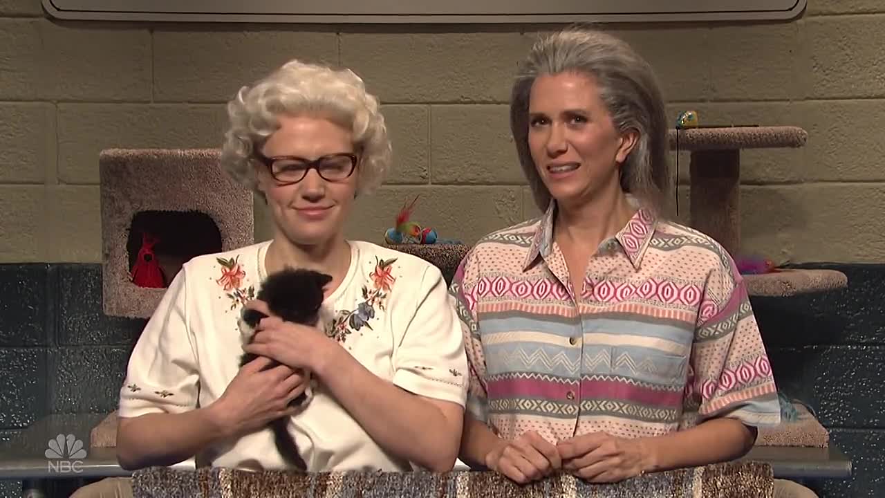 saturday night live s42e07 kristen wiig 720p hdtv x264-crooks mkv