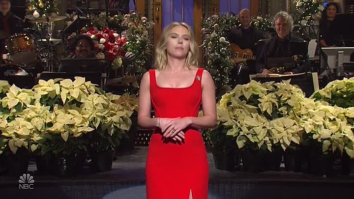 Saturday Night Live S45E09 HDTV x264-CROOKS