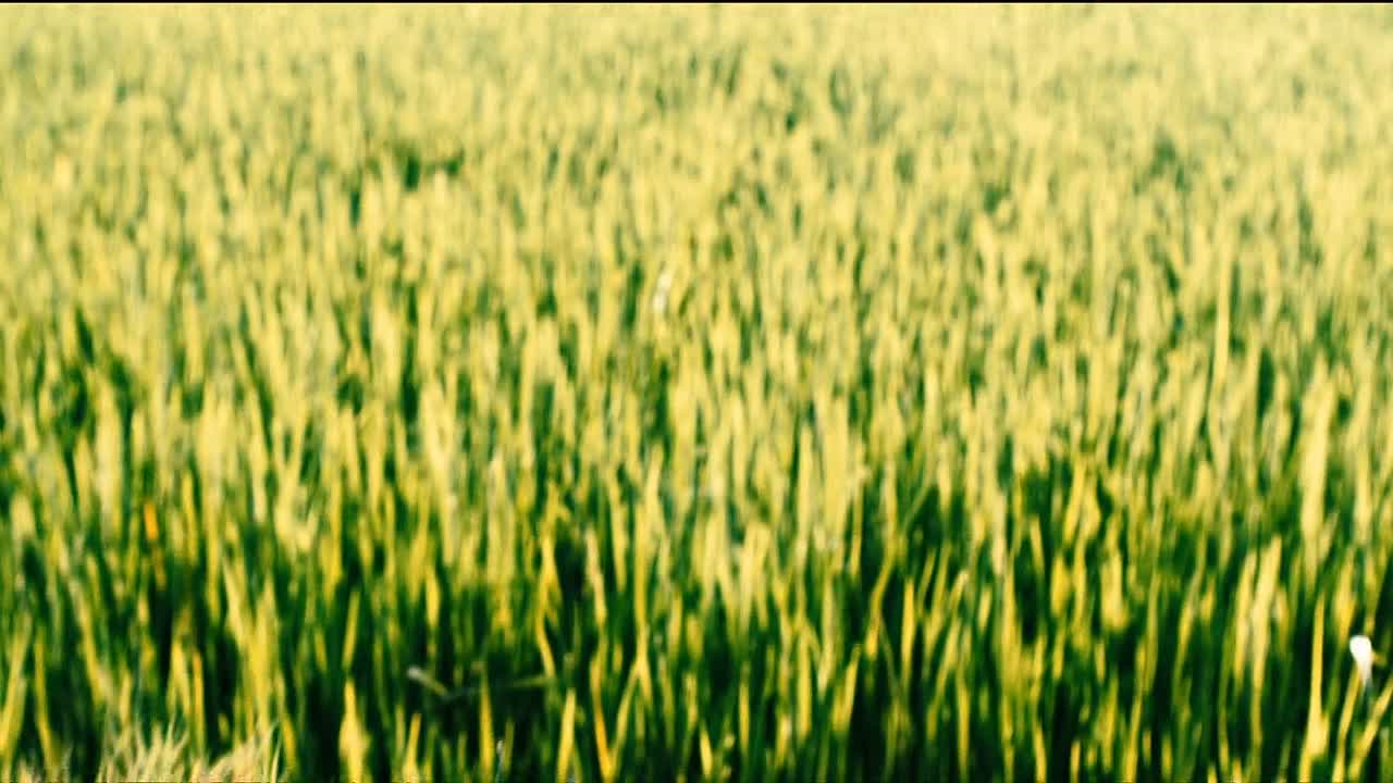 Bitcoin Heist 2016 VIETNAMESE HC ENG SUBS 1080p BluRay x264 AAC5 1-