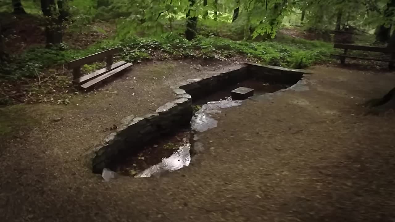 Hitler -From Homeless to Monster