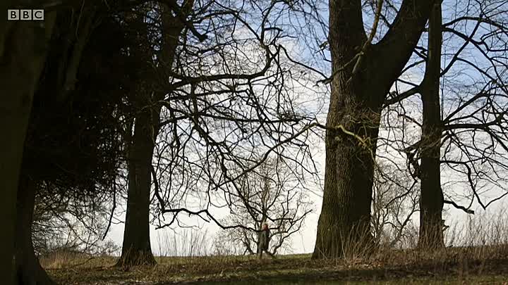 The Real White Queen And Her Rivals S01E01