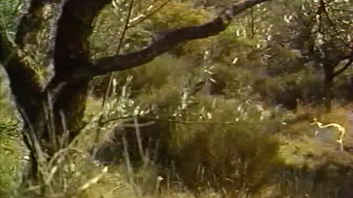 ⁣Jean Gabin - 1973 - L Affaire Dominici French Dvdrip DivX