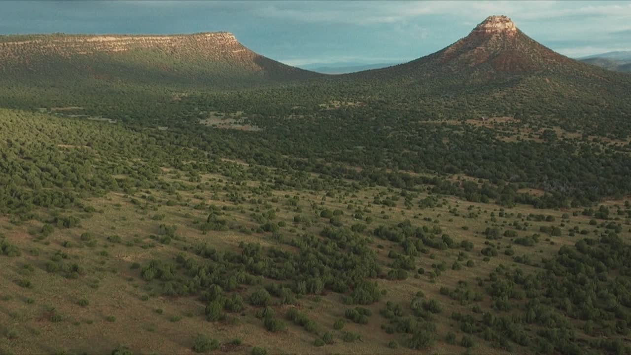 ⁣Laws Of Man 2024 1080p WEBRip x264 AAC5 1-