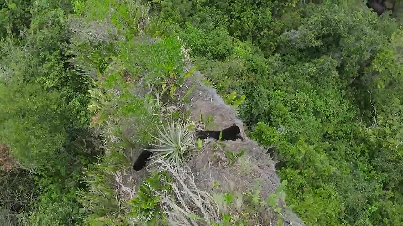 The Americas S01E07 -The.Andes
