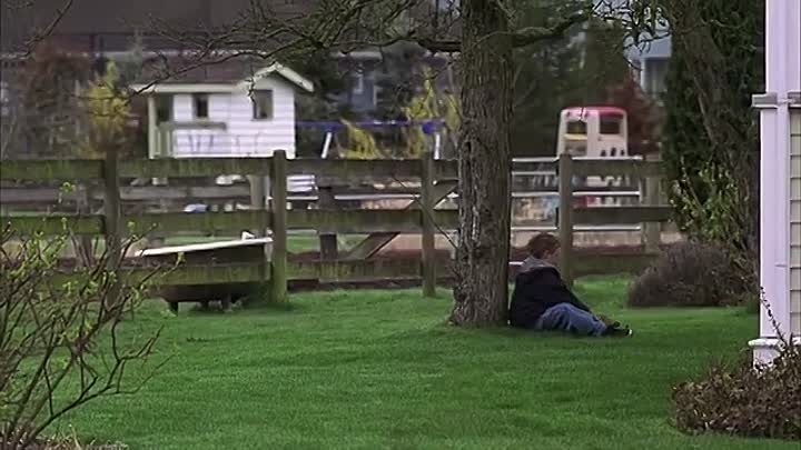 The Inspectors (1998)