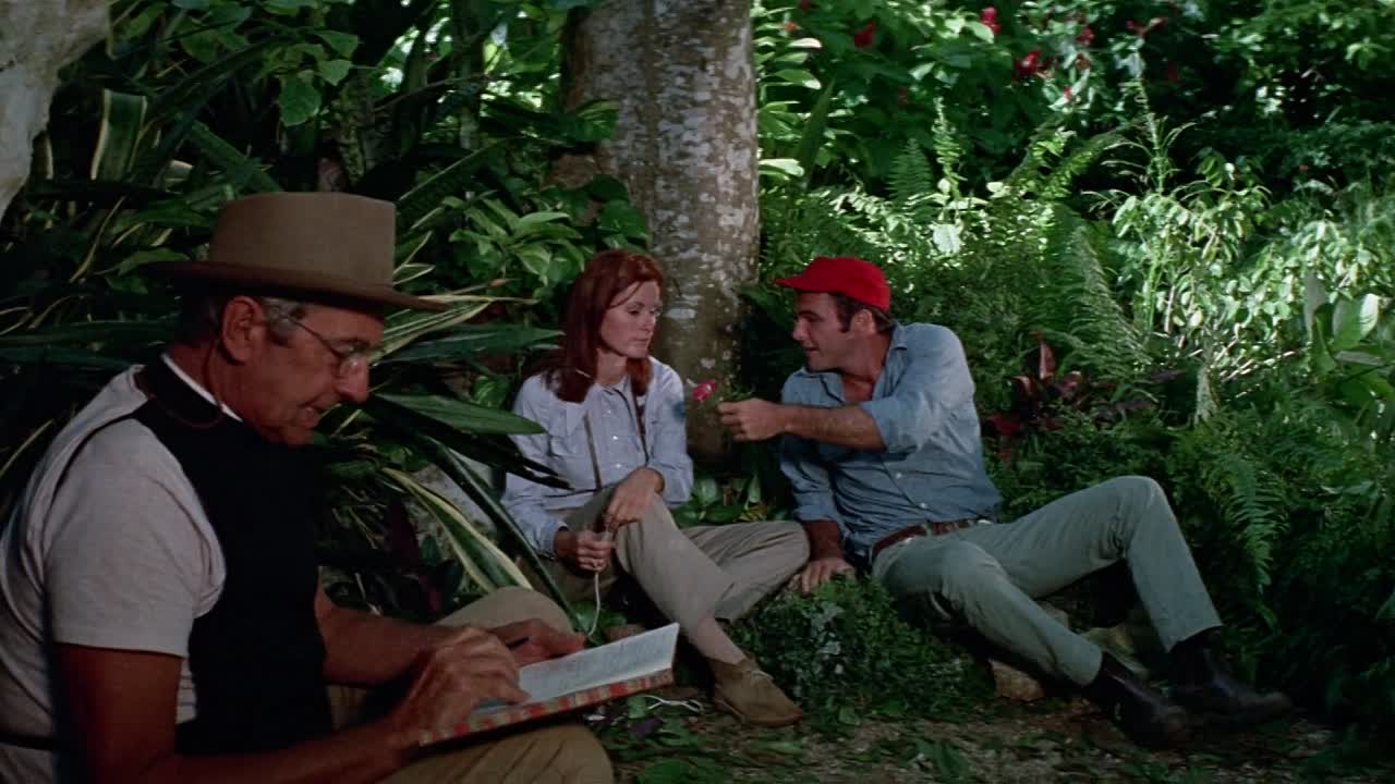 Skullduggery 1970 1080p BluRay x264 AAC-