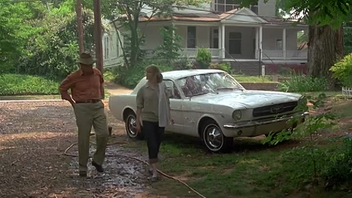 Decoration Day (1990)