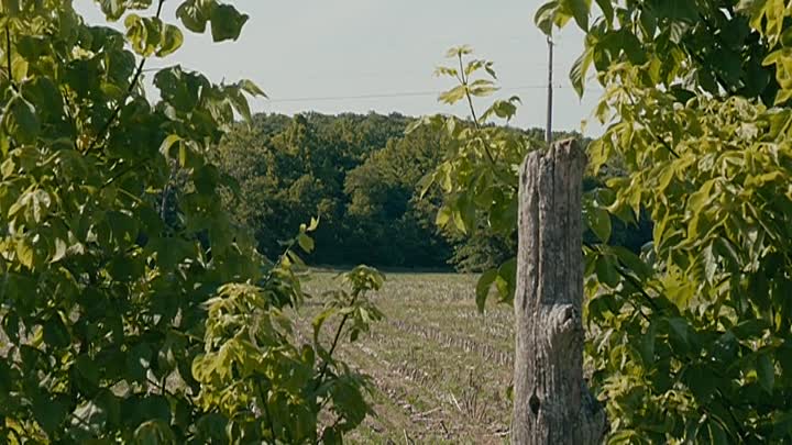 ⁣Cold Cases Reopened S01E03 -Carnage At the Creek