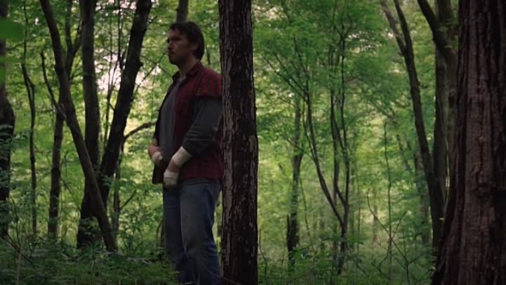 The Shade Shepherd 2020 HDRip XviD AC3-EVO