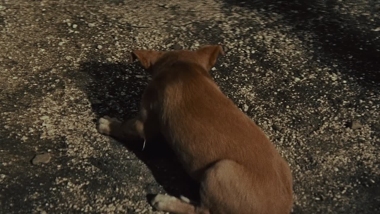 ⁣Samurai Vendetta 1959 JAPANESE HC ENG SUBS REPACK 1080p BluRay x264 AAC-