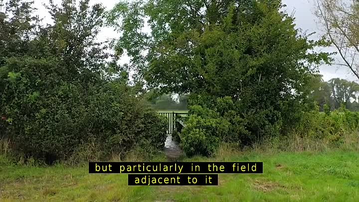 The Incident Room S02E02