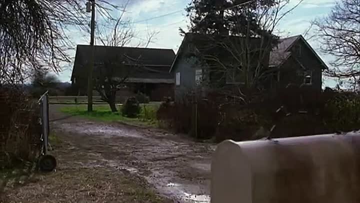 The Inspectors (1998)