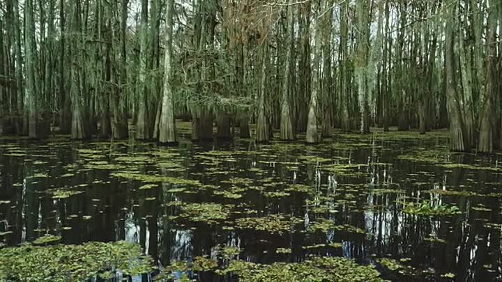 Cursed Histories S01E03