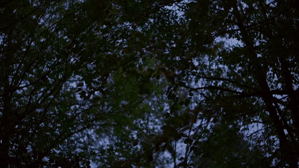 Misericorde 2024 FRENCH 720p WEB H264-FW