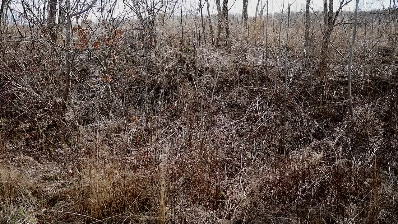 Amityville Island 2020 1080p WEBRip x264 AAC-