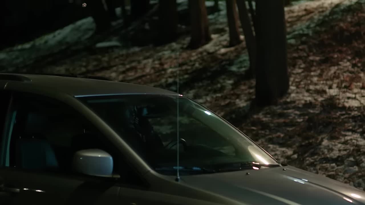 The Murder of Imette St. Guillen