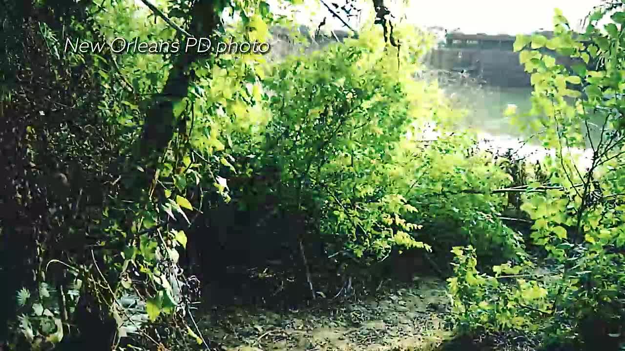 Spring Break Murders S01E03