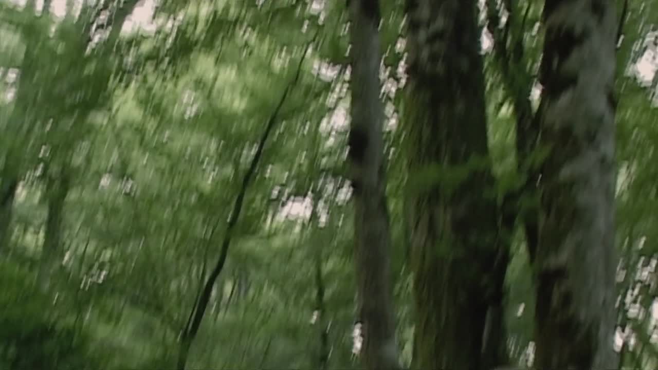 Ne Me Liberez Pas Je M En Charge 2009 FRENCH 1080p WEBRip x264 AAC-