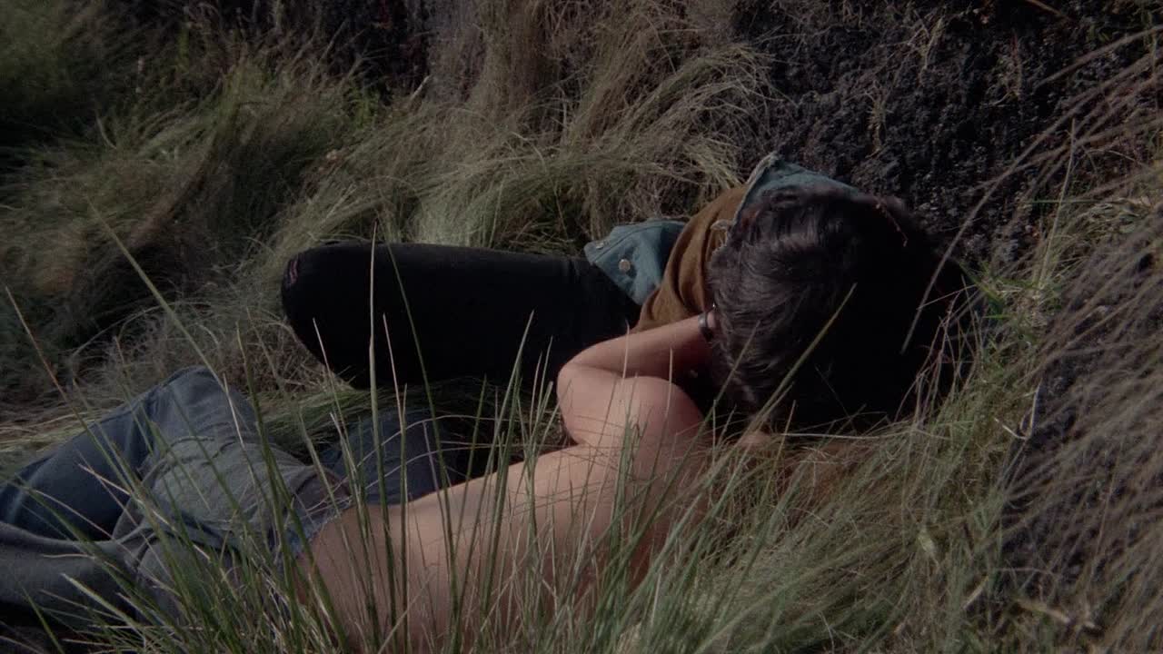 ⁣Bring Me The Head Of Alfredo Garcia 1974 1080p BluRay x264 AAC-