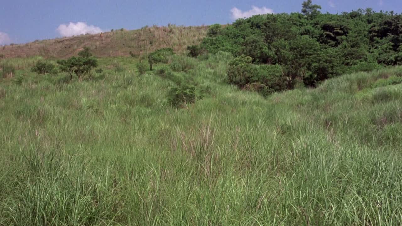 Black Mama White Mama 1973 1080p BluRay x264-[YTS AG]