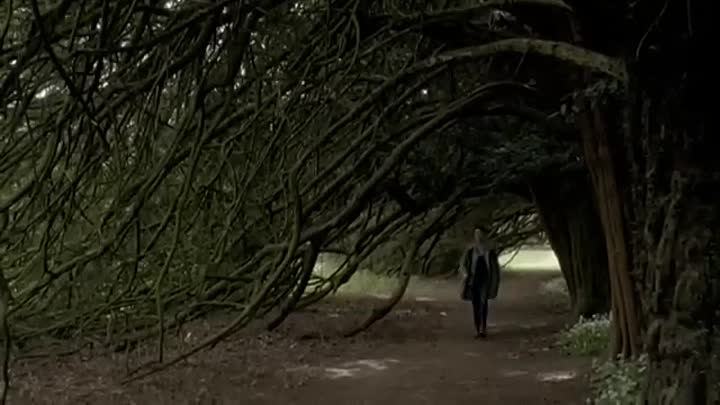 The Thirteenth Tale (2013)