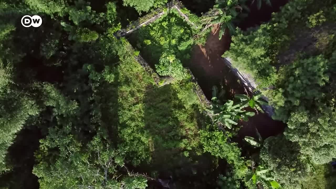 ⁣Pirates -Simple sailors or brutal thieves?