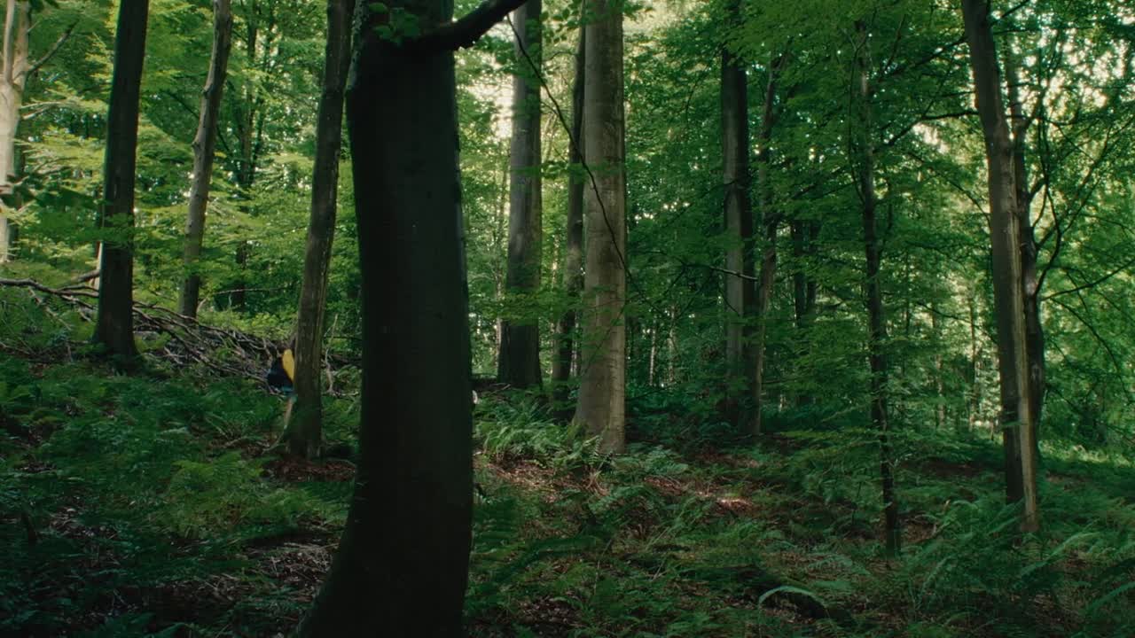 Soft Leaves 2025 FLEMISH HC ENG SUBS 1080p WEBRip x264 AAC5 1-