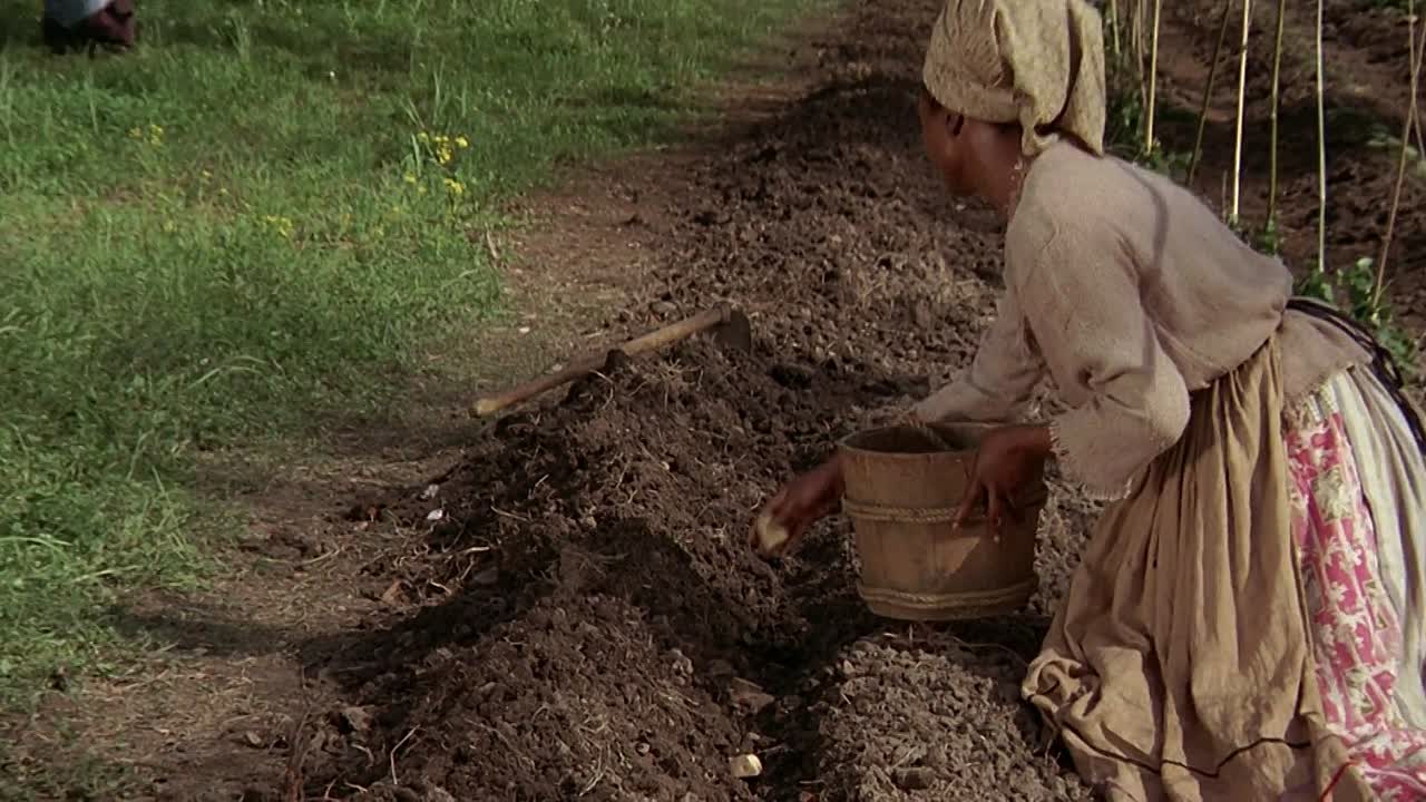 The Beguiled 1971 1080p BluRay x264-[YTS AG]