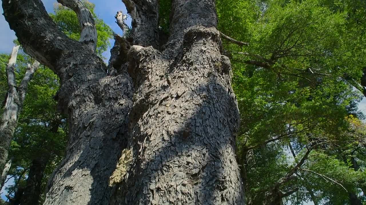 The Americas S01E10 -Patagonia
