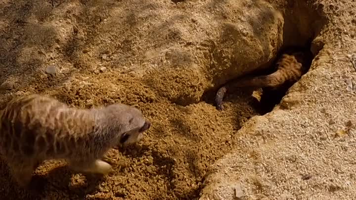 ⁣Wild Sky S01E03 -Africa