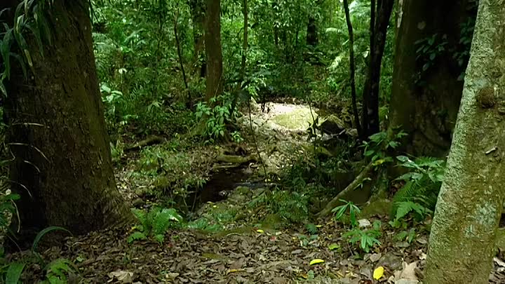 Wild Sky S01E04 -South America