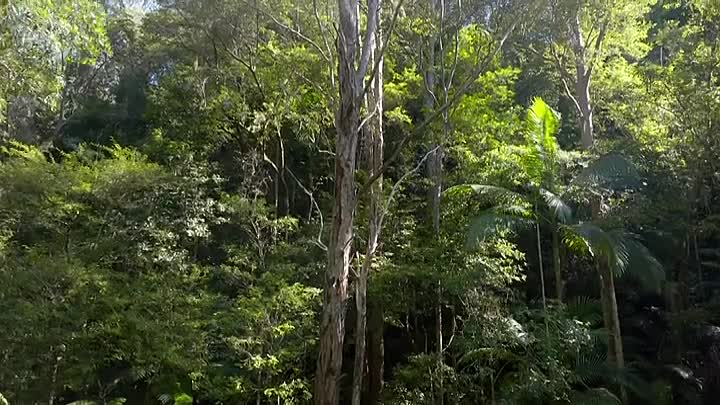 Wild Sky S01E01 -Australia