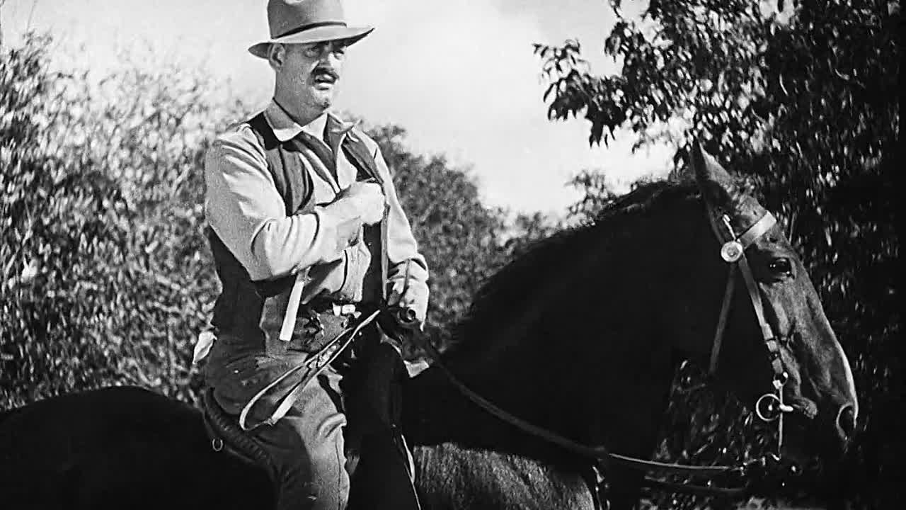 Pardon Us 1931 1080p BluRay x264-[YTS AM]