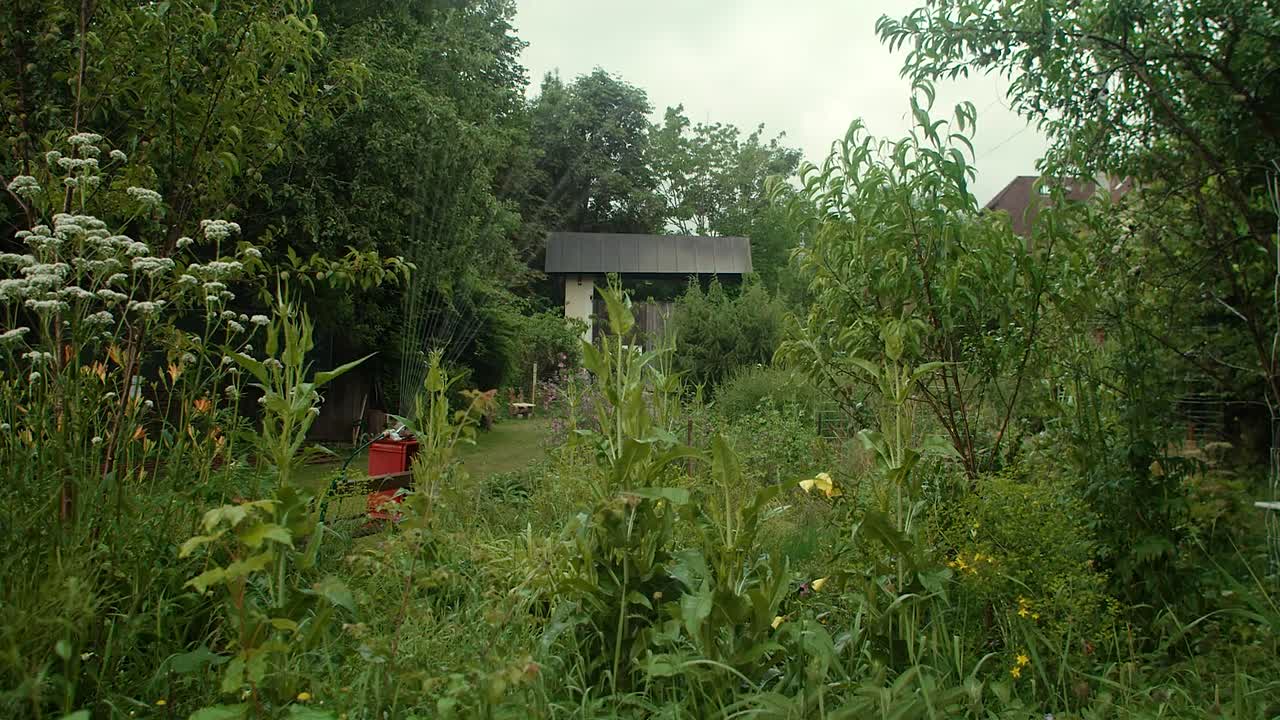 Sparschwein 2024 GERMAN 1080p WEBRip x264 AAC-