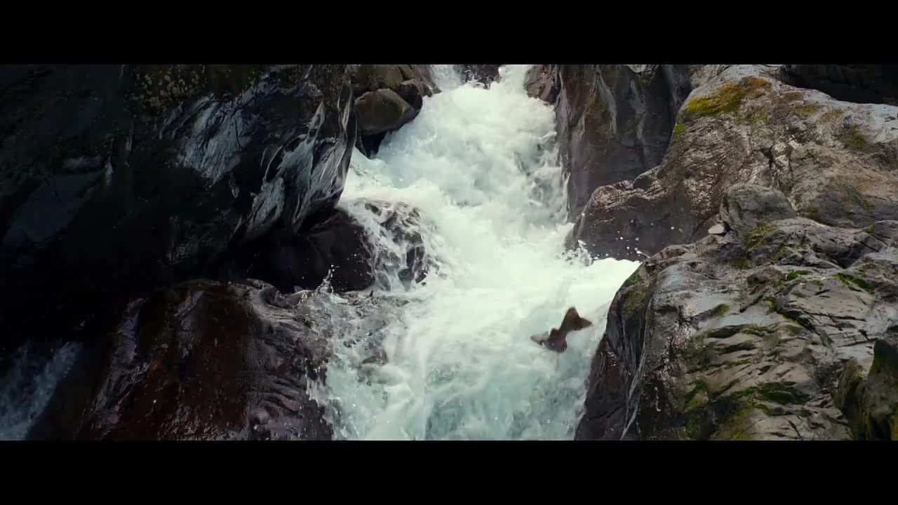 Get Hooked S01E05 -Bowmanville Creek