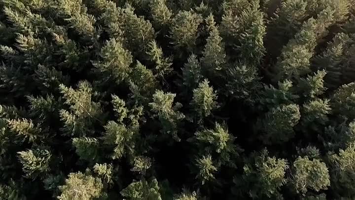 Murder First On Scene S01E07