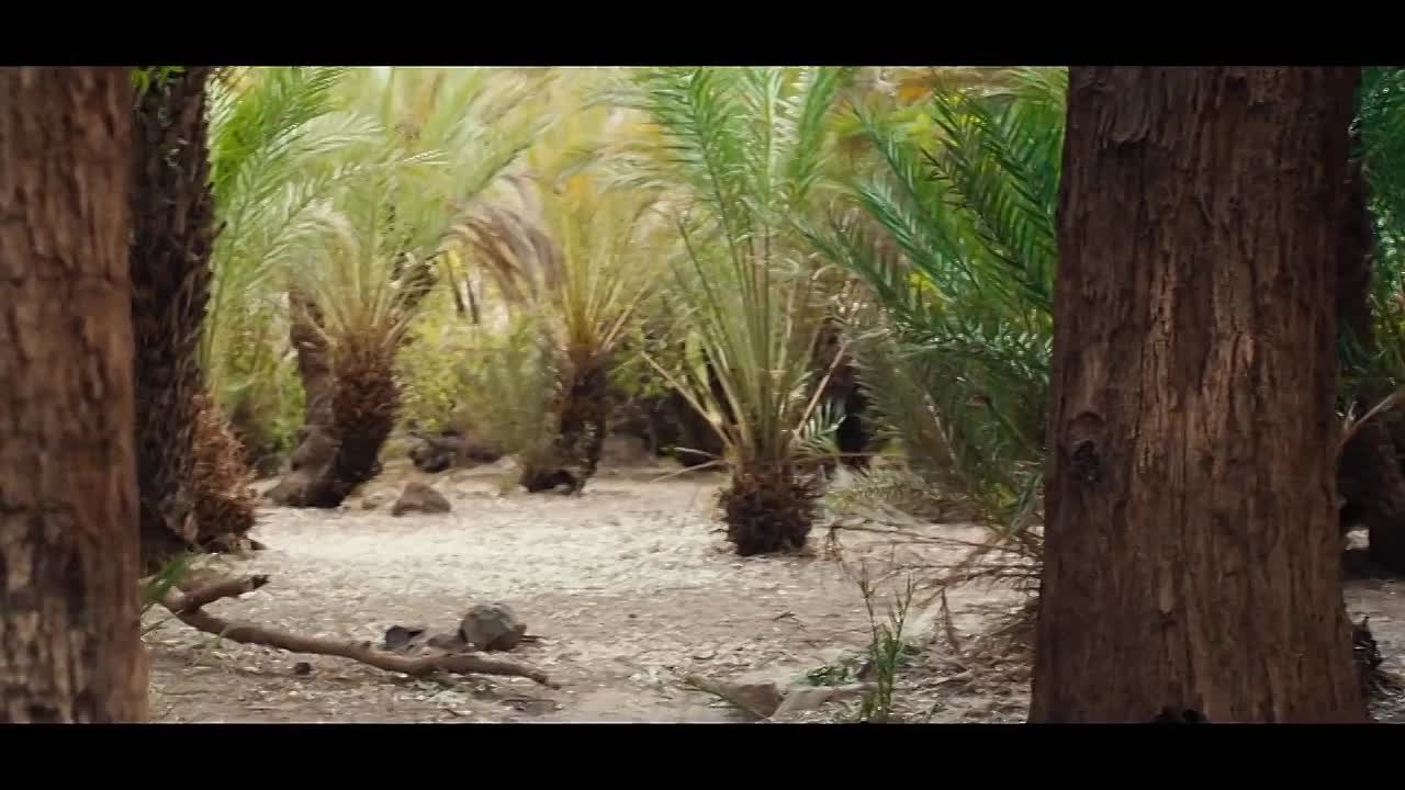 ⁣Martin Scorsese Presents The Saints S01E07 -Mary Magdalene