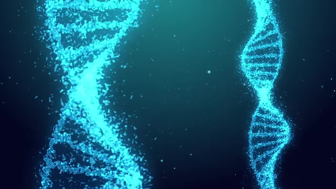 Finding Your Roots S011E10