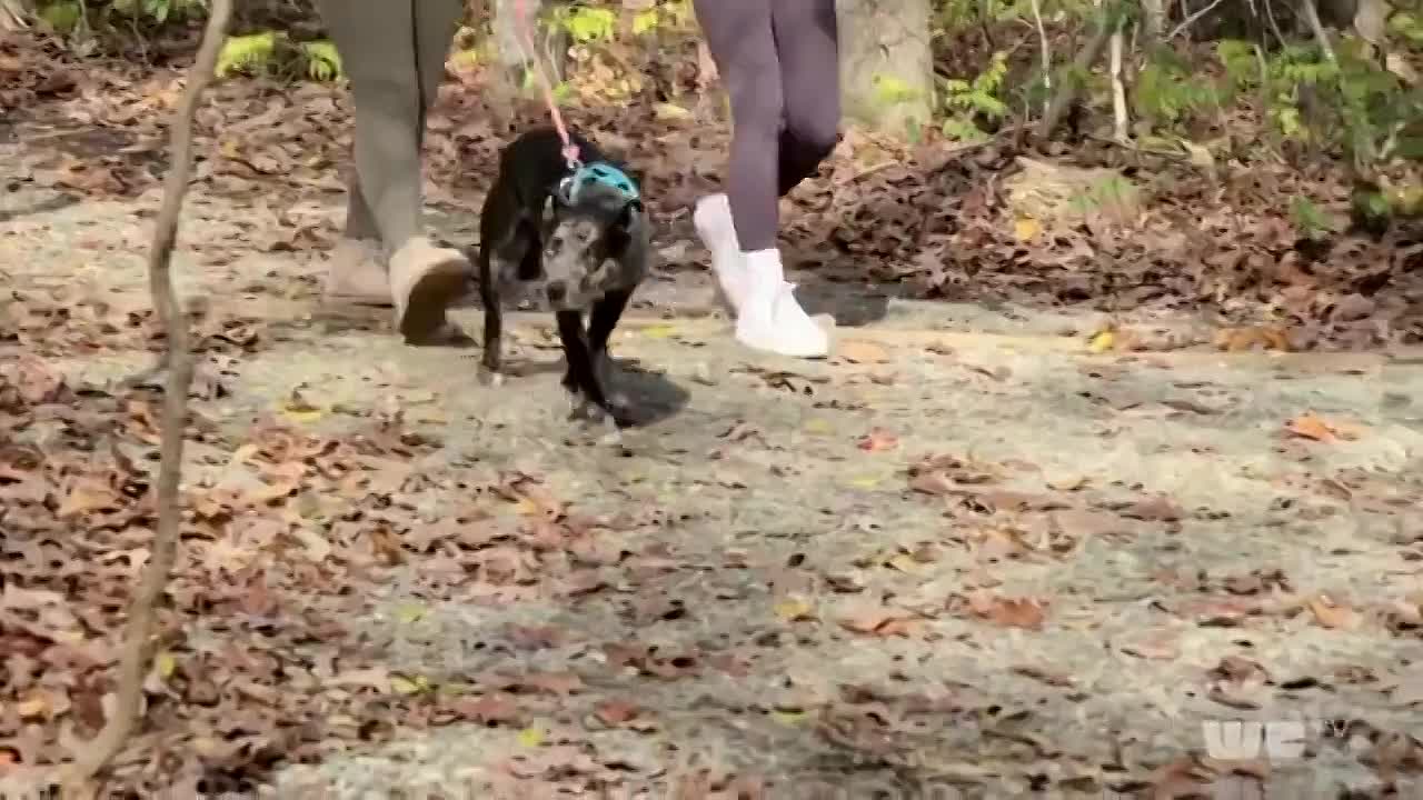 ⁣Love After Lockup S07E09