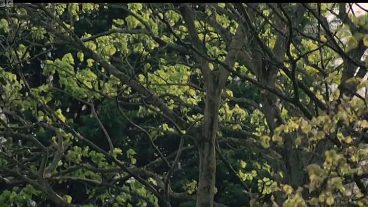 The Bombing Of Pan Am 103 S01E02