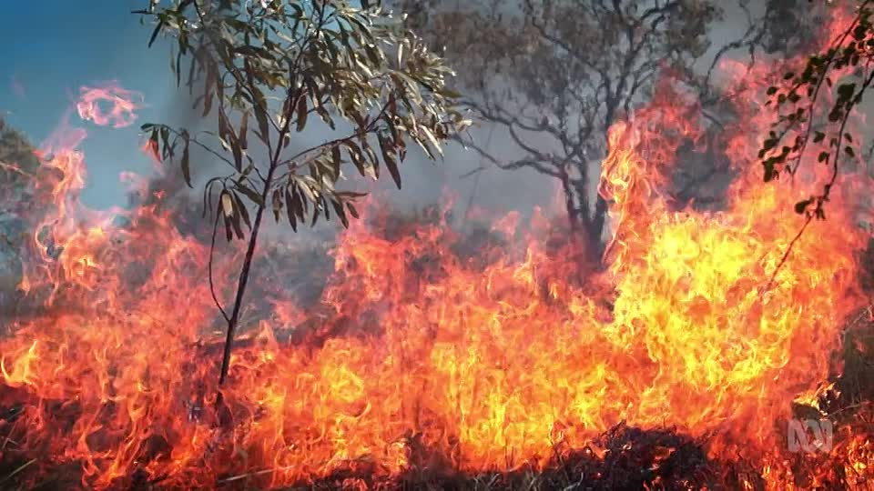 The Kimberley S01E02