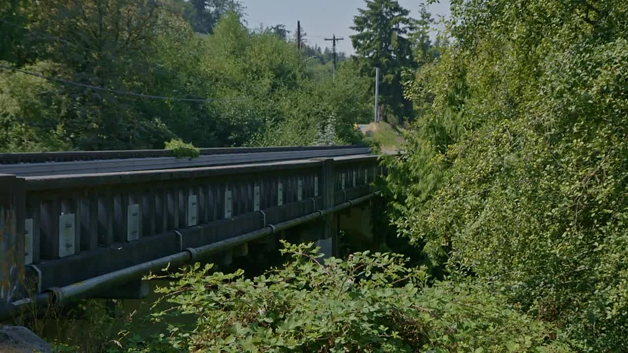 ⁣Bloodline Detectives S05E19