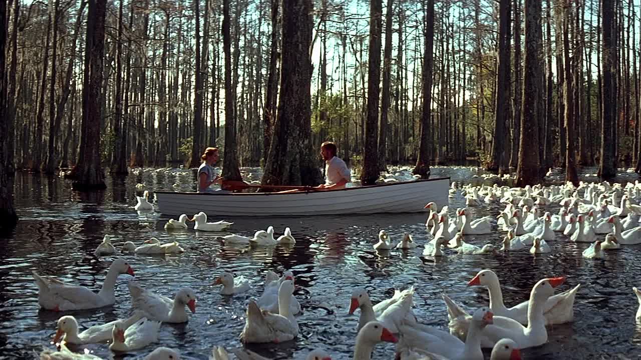 The Notebook 2004 1080p BluRay x264 YIFY