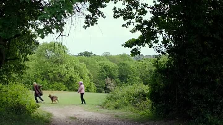 23 Walks 2020 HDRip XviD AC3-EVO