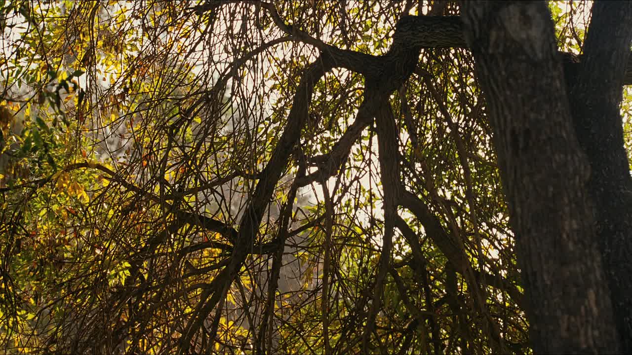 Youre Not You 2014 1080p BluRay x264 YIFY