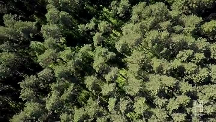 BLK -An Origin Story S01E02