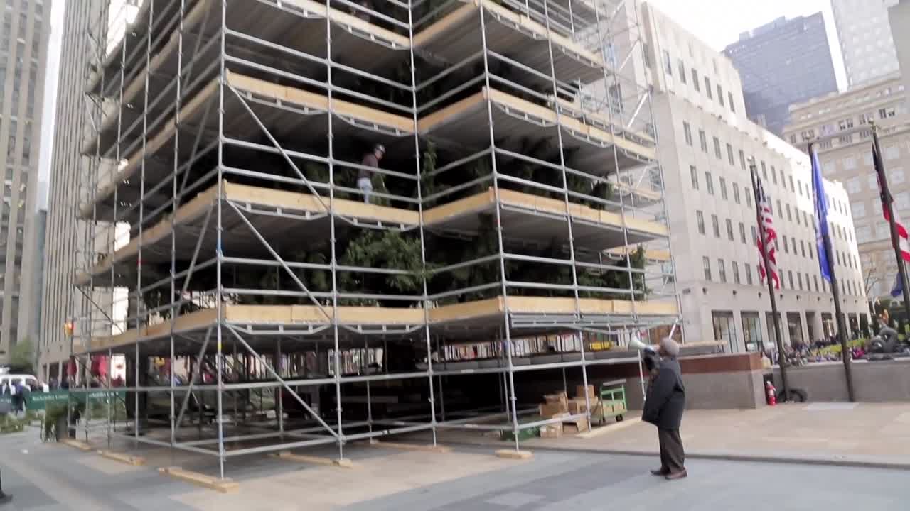 ⁣Weekend Update - Mr Senior on Common Sense Christmas