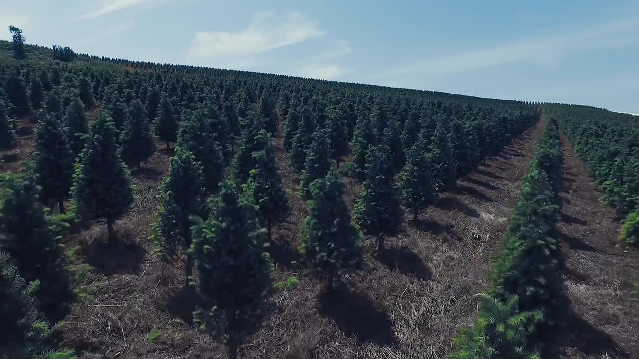 Cut for Time - Hallmark Channel Christmas Promo (James Franco)